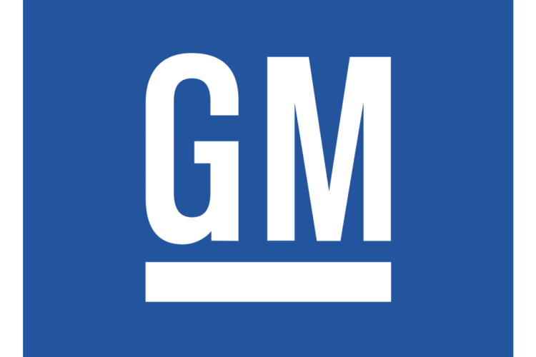 Center For Auto Safety Formally Objects To Gm Peion Avoid Center For Auto Safety Formally Objects To Gm Peion Avoid Takata Airbag Inflator Recall Autosafety