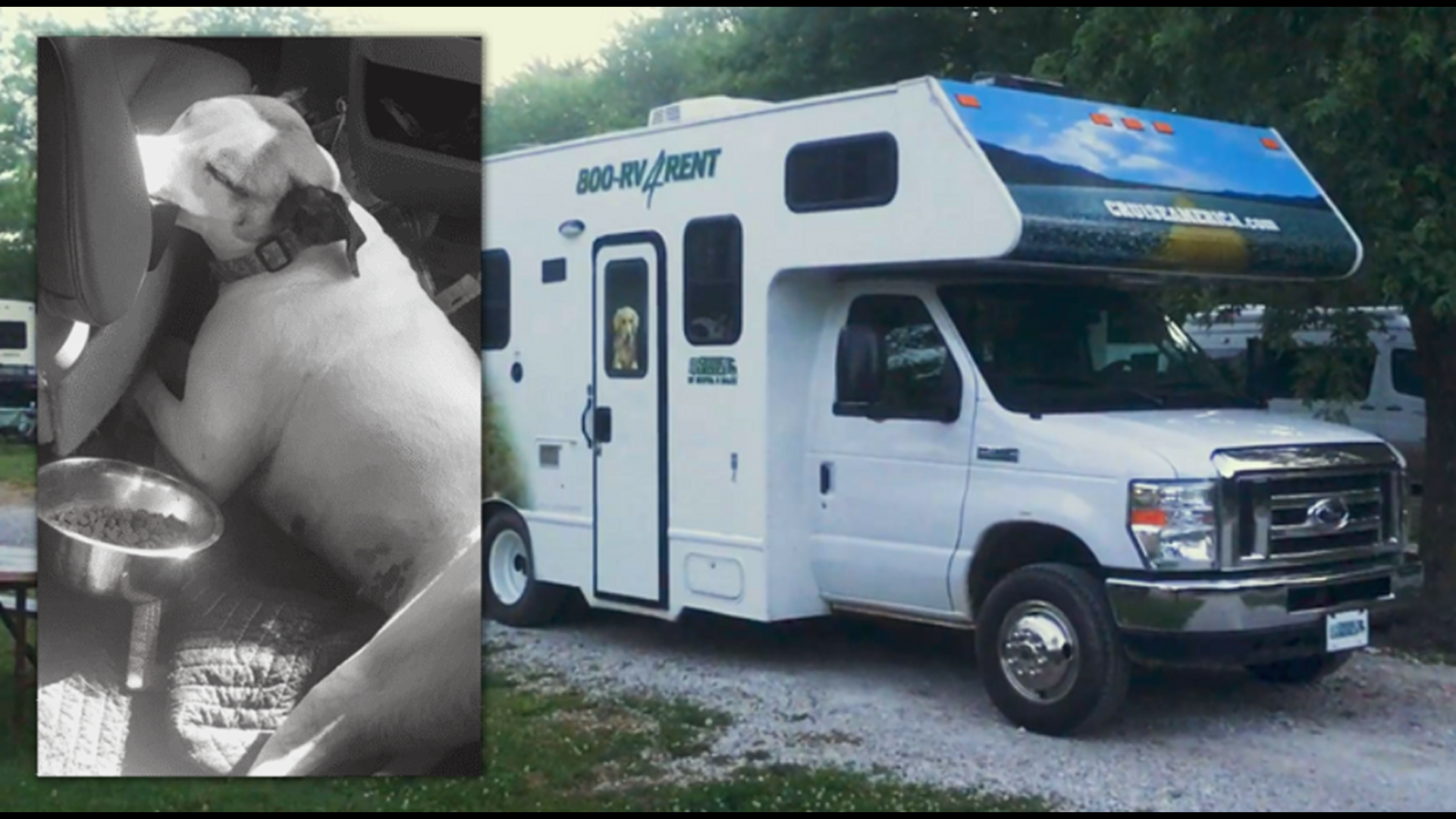 RV Dog Story RV Dog Story